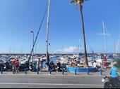 established freehold puerto colon