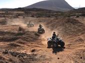 established excursion company tenerife