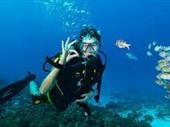 dive center costa del