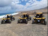 remarkable quad buggy activity
