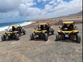 remarkable quad buggy activity