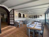 established business premises corralejo