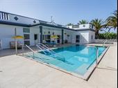established villa with banana