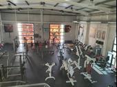 thriving gym fitness center