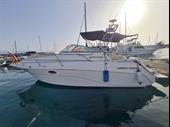 successful yacht excursion business
