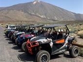 excursion buggy business tenerife