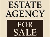 established estate agency alicante