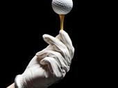 fantastic golf holiday business