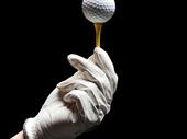 fantastic golf holiday business