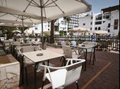 freehold pool bar torviscas
