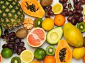 established fresh fruit distribution
