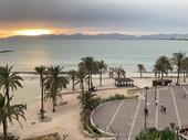 hotel mallorca palma arenal