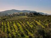 agricultural estate the province