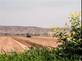 agricultural property the province