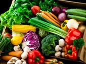 spain fruits vegetables distributor