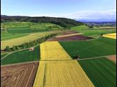 agricultural estate the province