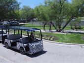 sustainable tourist train opportunity