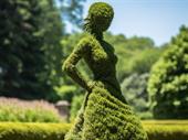 botanical garden of plant