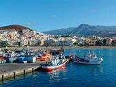 established bar los cristianos