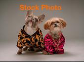 established pet shop for
